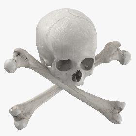 Pirate Skull and Bones Composition 02 White 3D